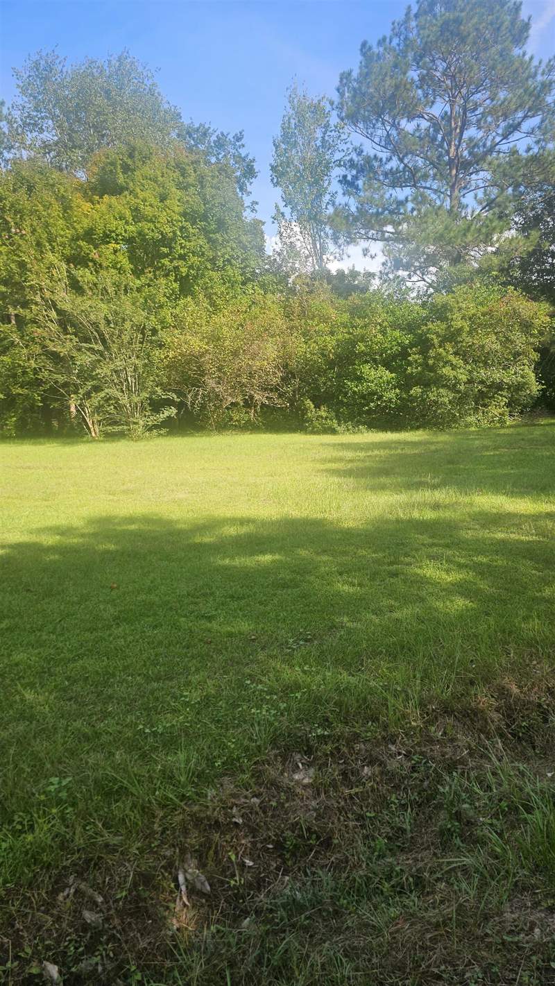 3 bedroom Detached at 1104 Leslie Lewis Road, N, Havana — photo 3