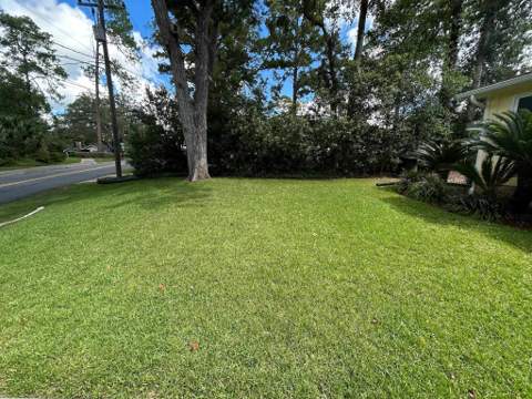 941 Spottswood Drive, Tallahassee FL - photo 12 of 62