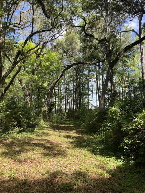 1858 Old Briar Trail, Tallahassee FL - photo 10 of 67