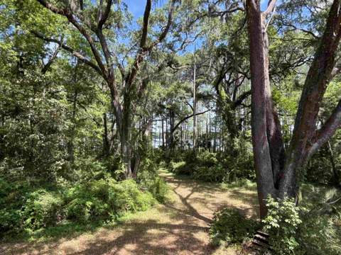 1858 Old Briar Trail, Tallahassee FL - photo 15 of 67