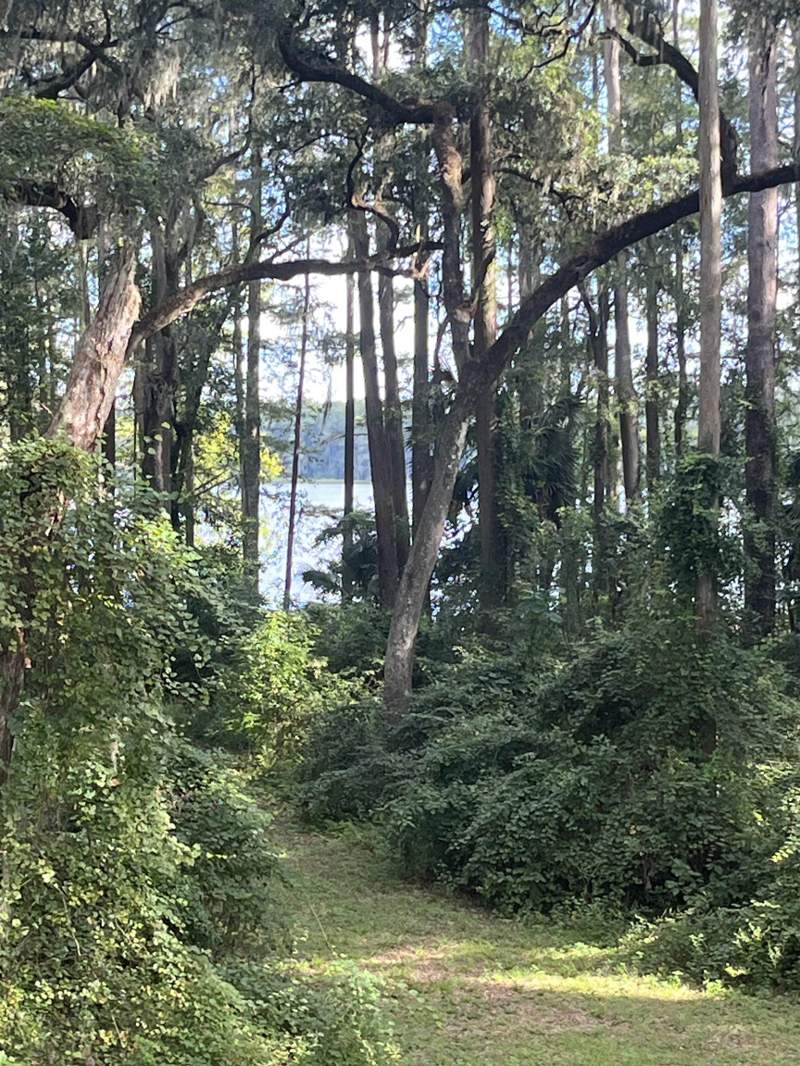 1 bedroom Detached at 1858 Old Briar Trail, Tall Timbers Prop Unrec, Tallahassee — photo 4