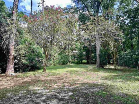 2310 W Tennessee Street, Tallahassee FL - photo 12 of 13