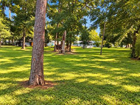 108 Harry Morrison Road, Crawfordville FL - photo 16 of 40
