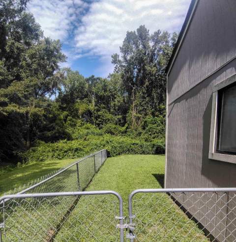 3068 Huntington Woods Boulevard, Tallahassee FL - photo 18 of 23