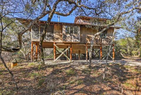 14 Lizard Lane, Sopchoppy FL - photo 6 of 36