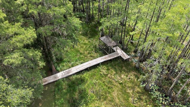 5 bedroom Detached at 7737 Deepwood Trail, Alford Arm Unrec, Tallahassee — photo 3