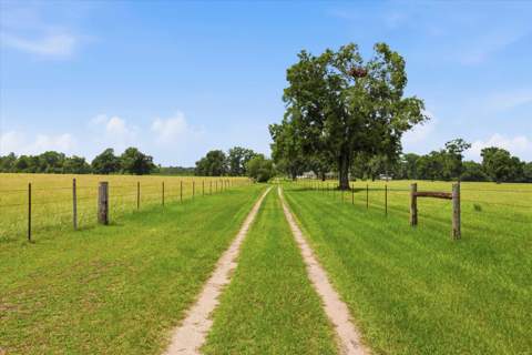 109 Walker Farm Road, Crawfordville FL - photo 8 of 70