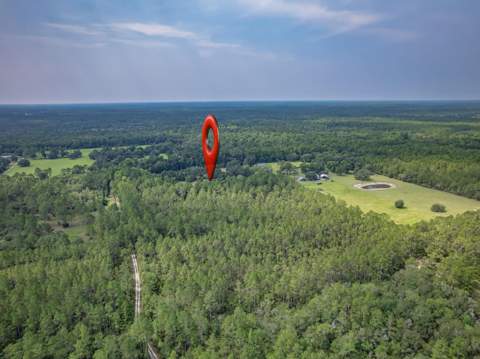 604 New Light Church Road, Crawfordville FL - photo 15 of 56