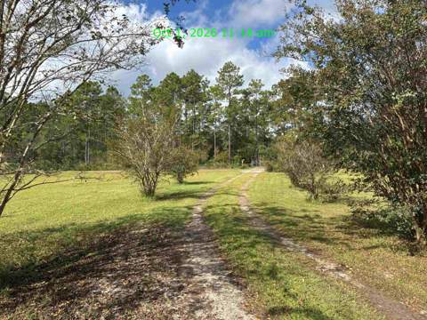 129 Cherokee Drive, Sopchoppy FL - photo 7 of 32