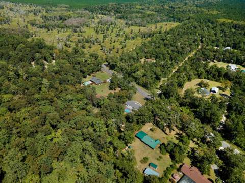 754 Rehwinkel Road, Crawfordville FL - photo 9 of 47
