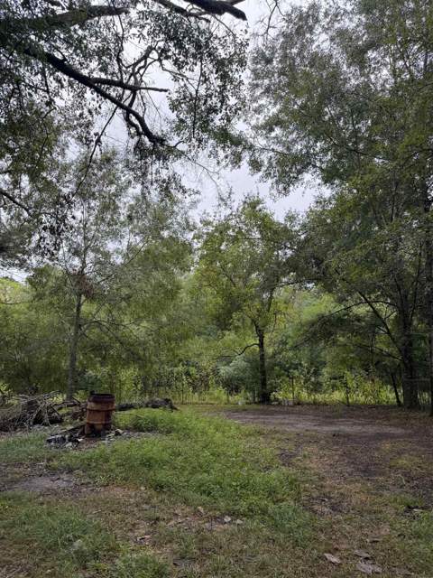 2702 Peachtree Drive, Tallahassee FL - photo 12 of 13