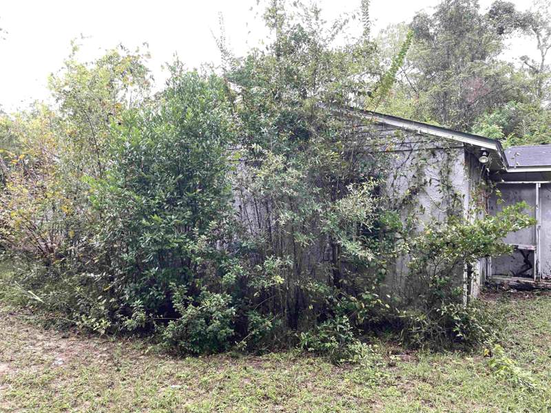3 bedroom Detached at 4019 Roberts Avenue, Seminole Manor, Tallahassee — photo 5