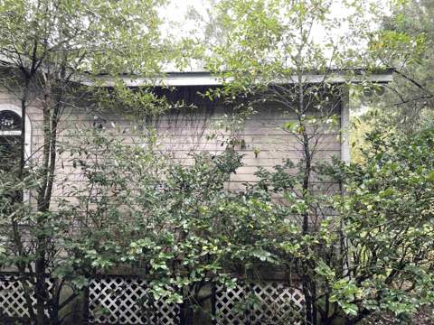 4019 Roberts Avenue, Tallahassee FL - photo 8 of 38