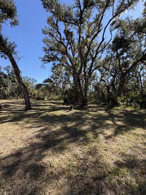 2985 Dorman Road, Perry FL - photo 11 of 17
