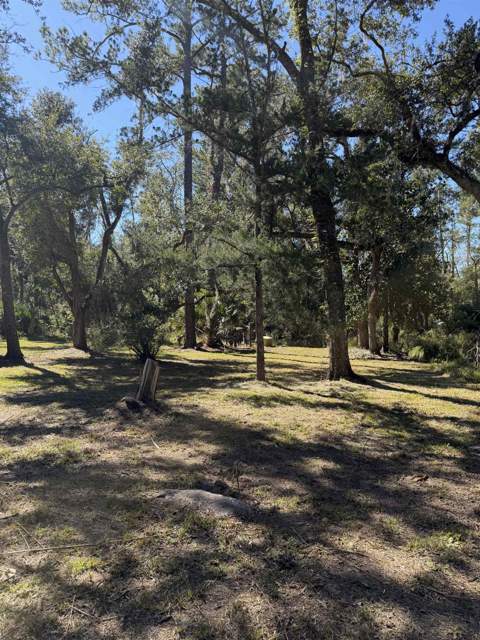 2985 Dorman Road, Perry FL - photo 8 of 17