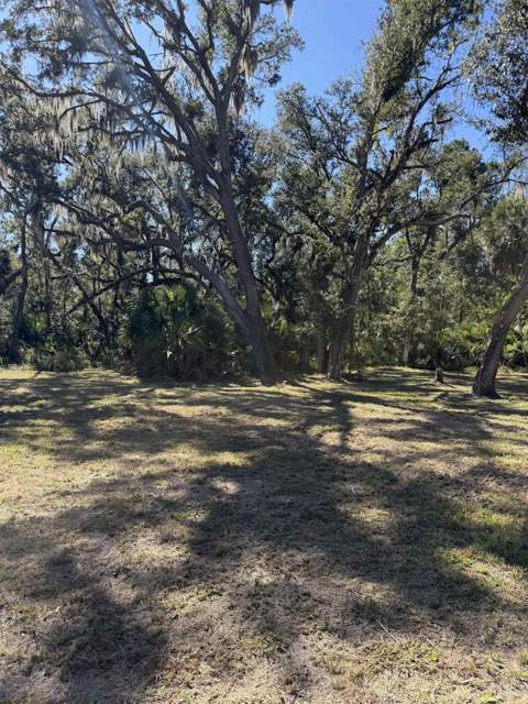 2985 Dorman Road, Perry FL - photo 9 of 17