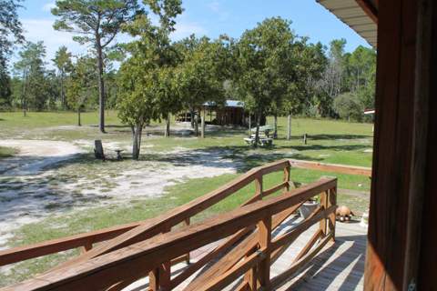 19789 S Jody Morgan Road, Perry FL - photo 10 of 20
