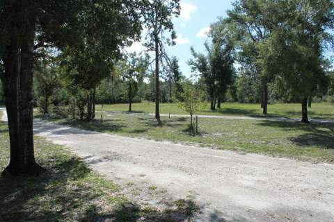 19789 S Jody Morgan Road, Perry FL - photo 20 of 20