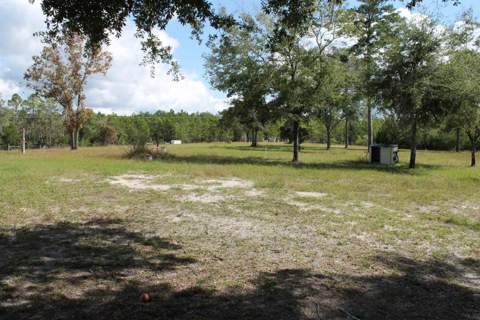 19789 S Jody Morgan Road, Perry FL - photo 6 of 20