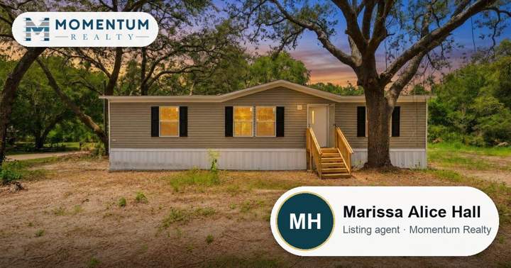 161 Basin Drive