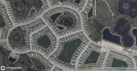Palms At SerenoaHomes for Sale in Clermont, FL