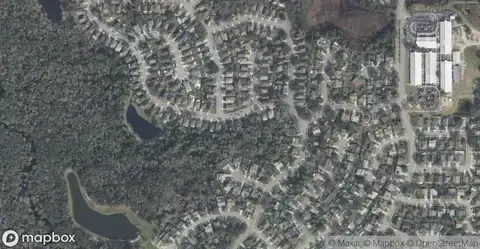 Riverside At Twin Rivers Homes for Sale in Oviedo, FL