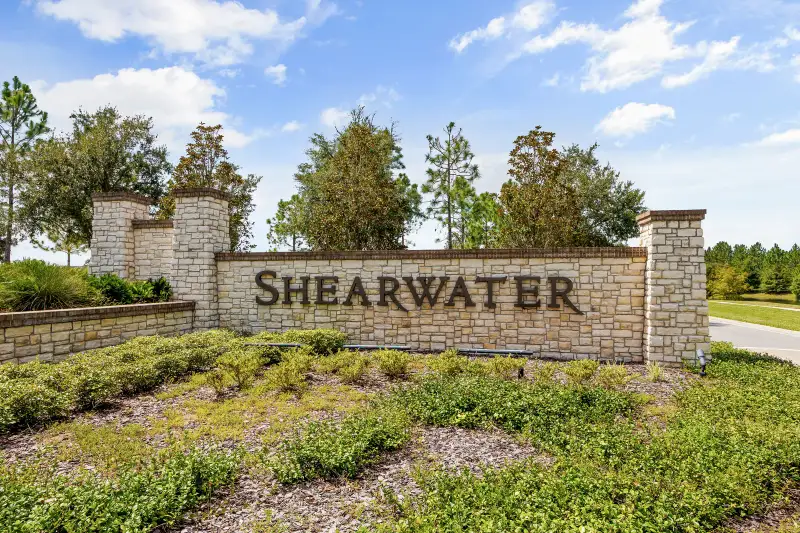Shearwater