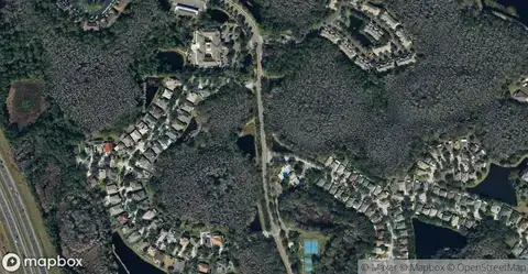 Stone Ridge at Highwoods PreserveHomes for Sale in Tampa, FL