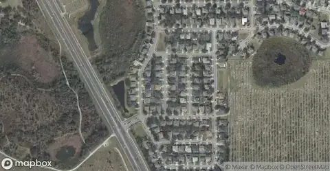 Storey LakeHomes for Sale in Kissimmee, FL