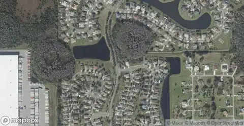 Tohop EstatesHomes for Sale in Kissimmee, FL