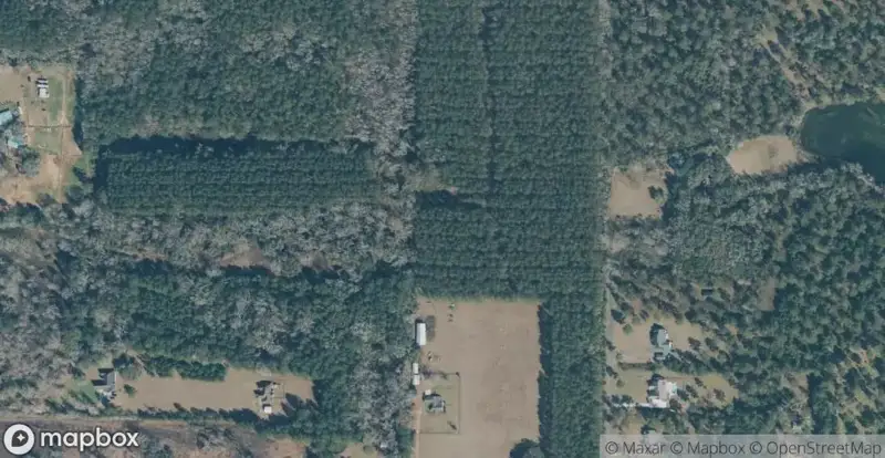 Walden PlaceHomes for Sale in Tallahassee, FL