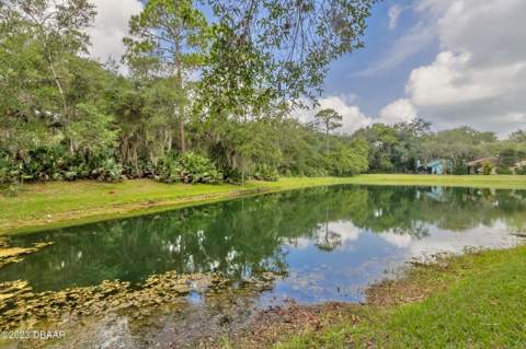 6236 Klondike Drive, Port Orange FL - photo 6 of 30