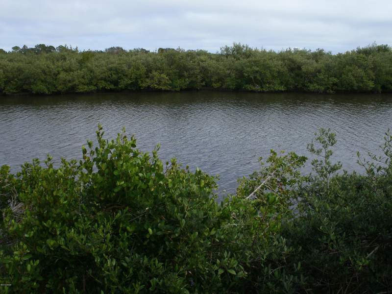 1 bedroom Condominium at 1401 S Palmetto Avenue #811, Preserve At Rivers Edge Condo, Daytona Beach — photo 5