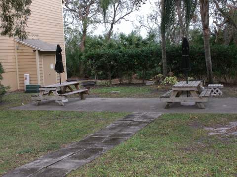 1401 S Palmetto Avenue #811, Daytona Beach FL - photo 7 of 29