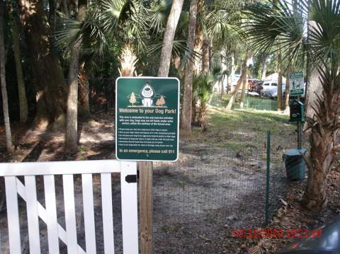 1401 S Palmetto Avenue #811, Daytona Beach FL - photo 9 of 29