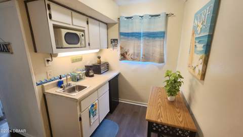 219 S Atlantic Avenue #108, Daytona Beach FL - photo 13 of 52