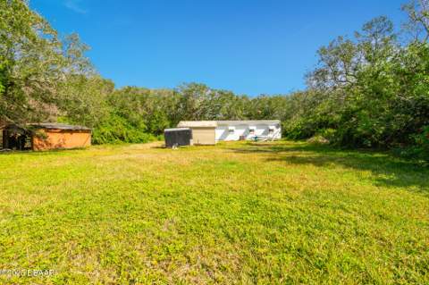 4770 S Peninsula Drive, Ponce Inlet FL - photo 10 of 14