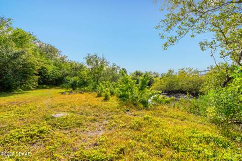 4770 S Peninsula Drive, Ponce Inlet FL - photo 12 of 14