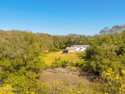 4770 S Peninsula Drive, Ponce Inlet FL - photo 13 of 14