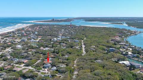 87 Buschman Drive, Ponce Inlet FL - photo 11 of 57