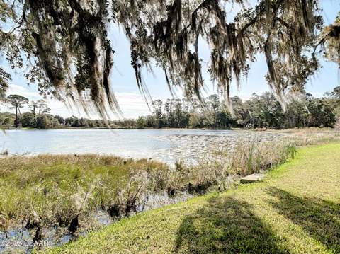 5780 Johnson Lake Road, DeLeon Springs FL - photo 8 of 12