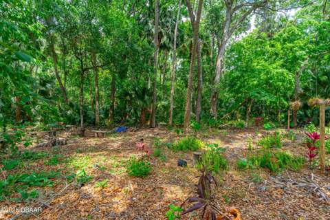 849 Terrace Avenue, Daytona Beach FL - photo 7 of 24