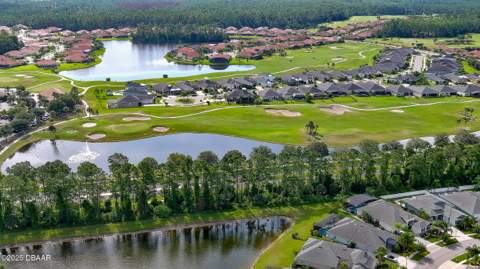349 Caryota Court, New Smyrna Beach FL - photo 24 of 31
