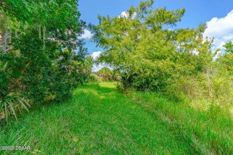 6090 S Williamson Boulevard, Port Orange FL - photo 19 of 23