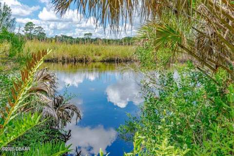 6090 S Williamson Boulevard, Port Orange FL - photo 7 of 23