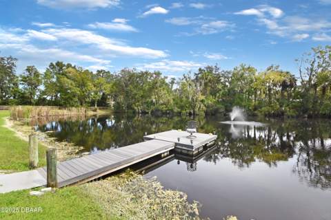 2310 Doster Drive, New Smyrna Beach FL - photo 11 of 36
