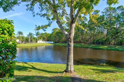 6948 Vintage Lane, Port Orange FL - photo 21 of 43