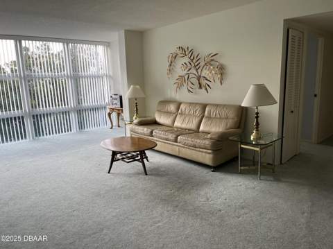 1224 S Peninsula Drive #501, Daytona Beach FL - photo 10 of 20