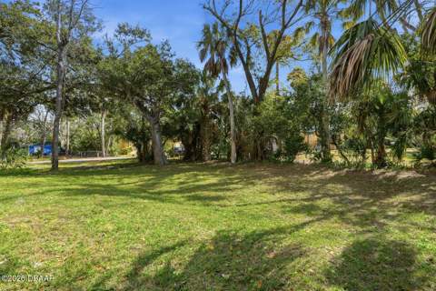 557 Live Oak Avenue, Daytona Beach FL - photo 23 of 33