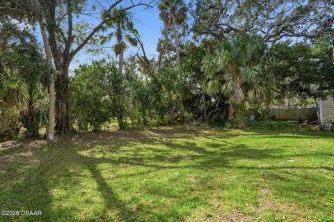 557 Live Oak Avenue, Daytona Beach FL - photo 24 of 33